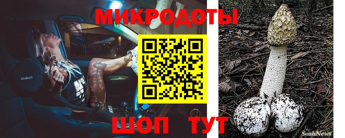 Псилоцибиновые грибы Psilocybine cubensis Магнитогорск