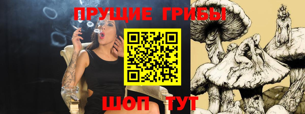 хочу наркоту  Вход с VPN  Магнитогорск  Псилоцибиновые грибы ЛСД  Псилоцибиновые грибы ЛСД 